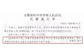 宝丰为什么选择专业追讨公司来处理您的债务纠纷？